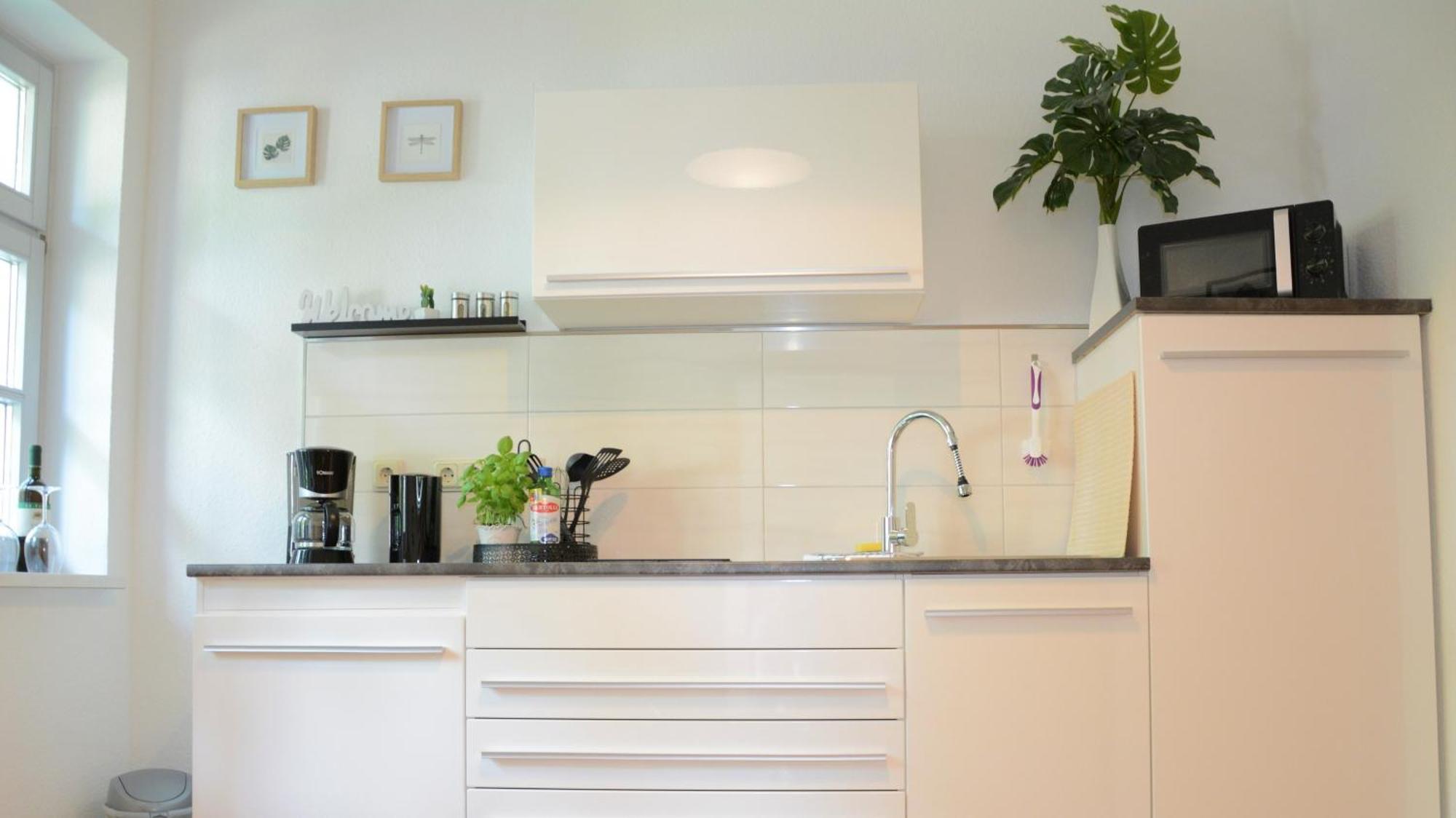 Apartment Rosenwinkel Im Eg